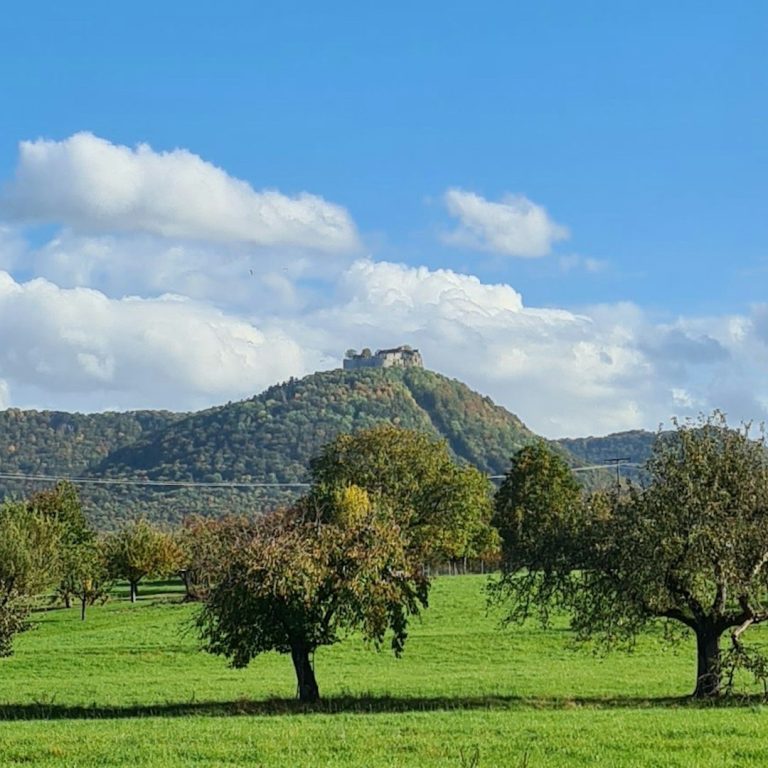 Beeidigte Übersetzungen beim Wahrzeichen Korntal-Münchingen – Bozkurt-Babur Korntal-Münchingen – beglaubigte Türkisch-Deutsch-Übersetzungen in der Nähe