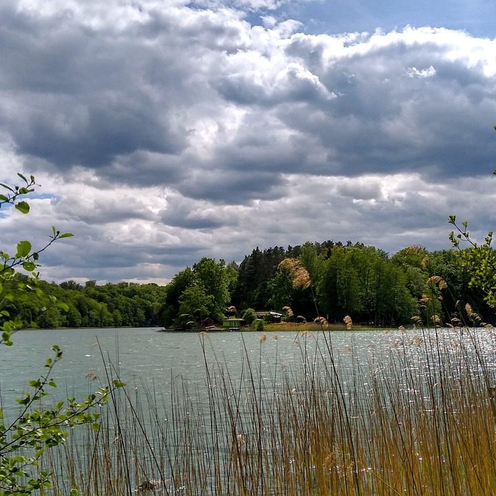 Naturidylle am See in Brandenburg mit dichter Ufervegetation und bewölktem Himmel