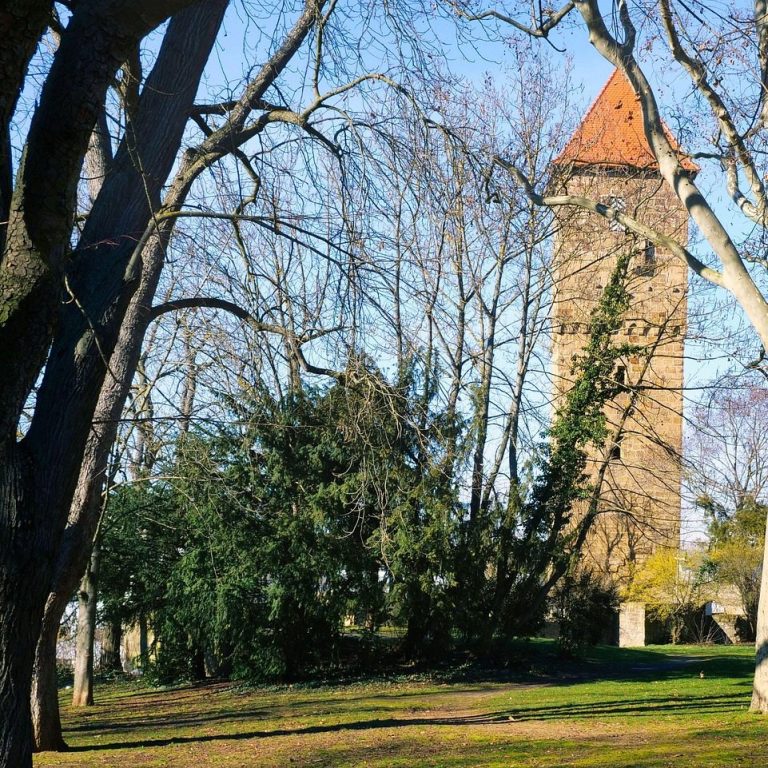 Neckarsulm – beglaubigte Türkisch-Deutsch-Übersetzungen in der Nähe