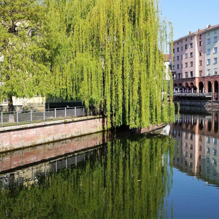 Innenstadt von Pforzheim mit Blick auf den Neckar und Fachwerkhäuser