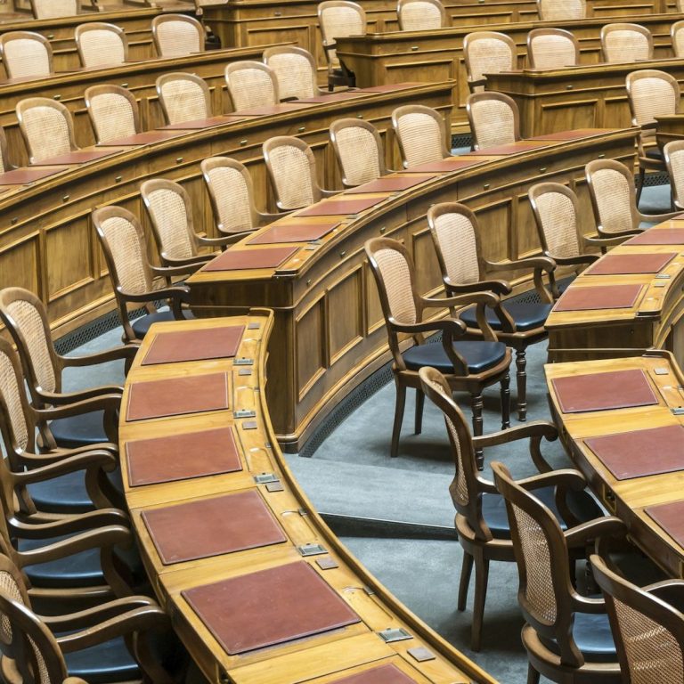 Türkisch ⇔ Deutsch Dolmetscher für Regierungsdelegationen